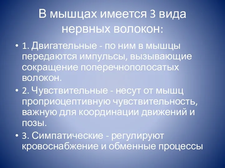 В мышцах имеется 3 вида нервных волокон: 1. Двигательные -