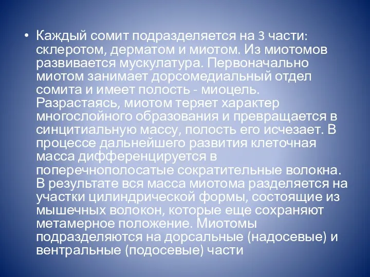 Каждый сомит подразделяется на 3 части: склеротом, дерматом и миотом.