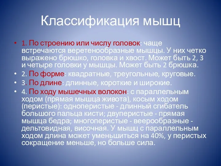 Классификация мышц 1. По строению или числу головок: чаще встречаются