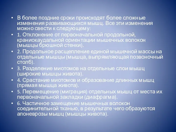 В более поздние сроки происходят более сложные изменения развивающихся мышц.