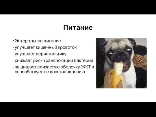 Питание Энтеральное питание улучшает кишечный кровоток улучшает перистальтику снижает риск транслокации бактерий защищает