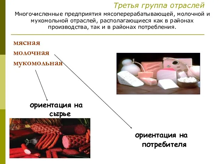 мясная молочная мукомольная ориентация на сырье ориентация на потребителя Третья