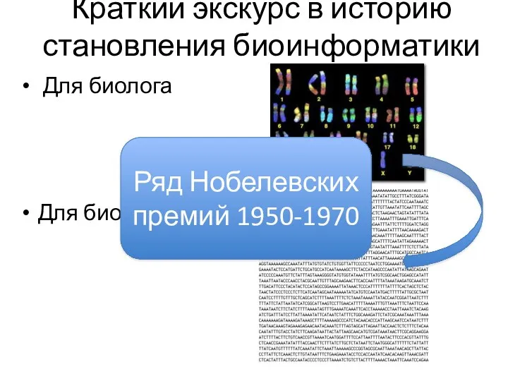 Краткий экскурс в историю становления биоинформатики Для биолога Для биоинформатика Ряд Нобелевских премий 1950-1970