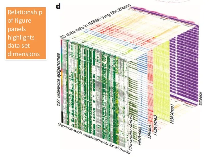 Relationship of figure panels highlights data set dimensions