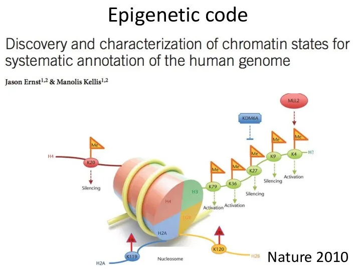Epigenetic code Nature 2010