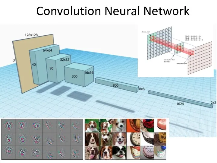 Convolution Neural Network