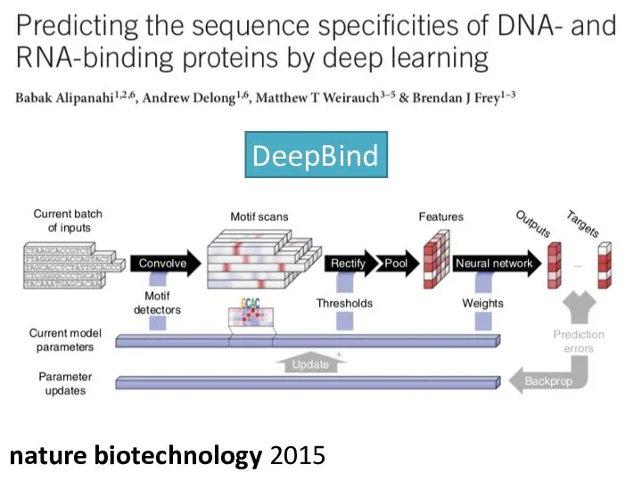 nature biotechnology 2015 DeepBind