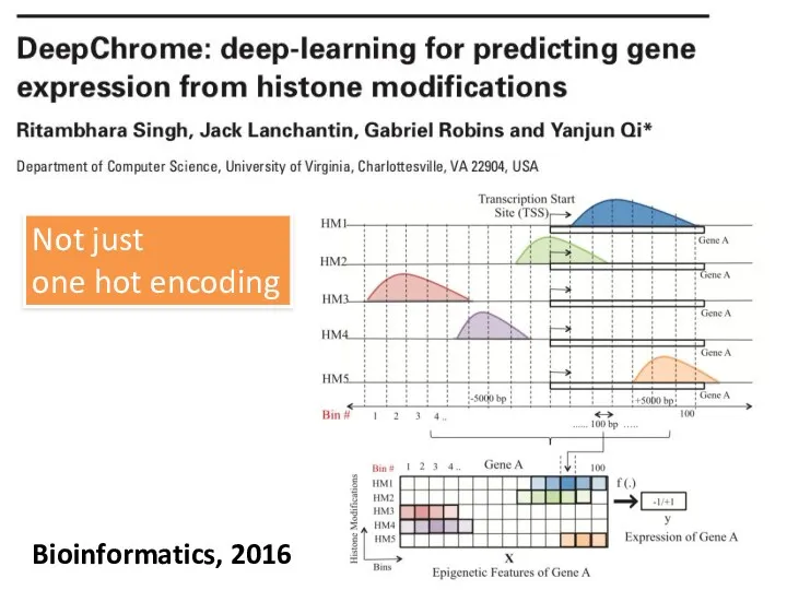 Bioinformatics, 2016 Not just one hot encoding