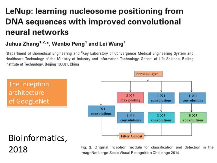 Bioinformatics, 2018 The Inception architecture of GoogLeNet