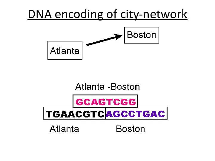 DNA encoding of city-network