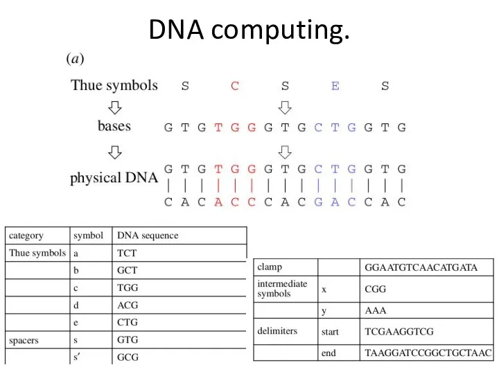 DNA computing.