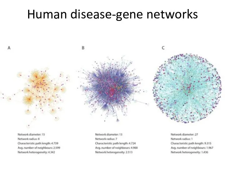 Human disease-gene networks