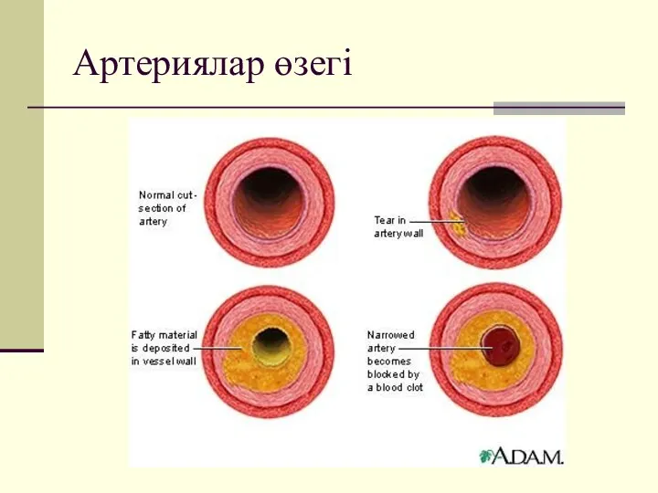 Артериялар өзегі