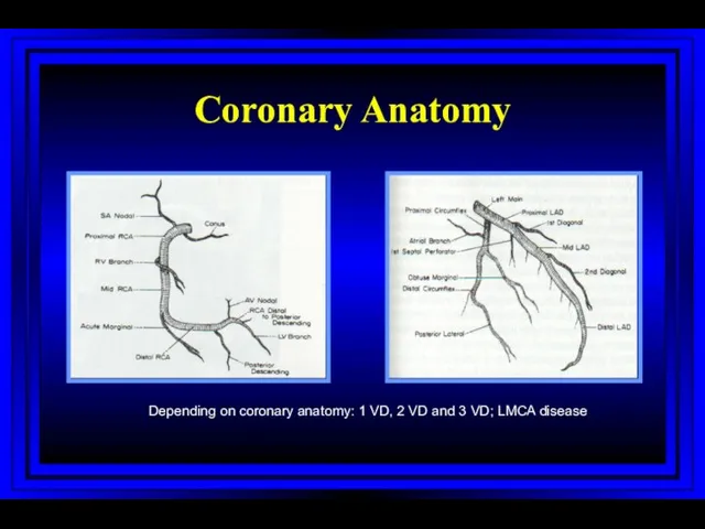 Coronary Anatomy Depending on coronary anatomy: 1 VD, 2 VD and 3 VD; LMCA disease mm