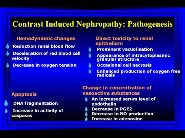 Contrast Induced Nephropathy: Pathogenesis Hemodynamic changes Reduction renal blood flow