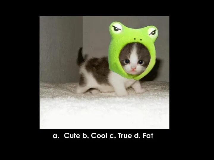 Cute b. Cool c. True d. Fat