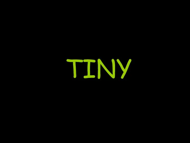 TINY