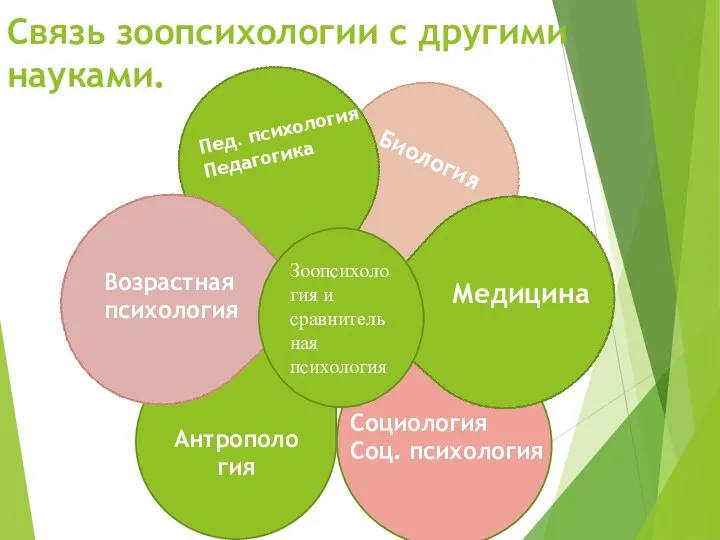 Связь зоопсихологии с другими науками. Антропология Зоопсихология и сравнительная психология