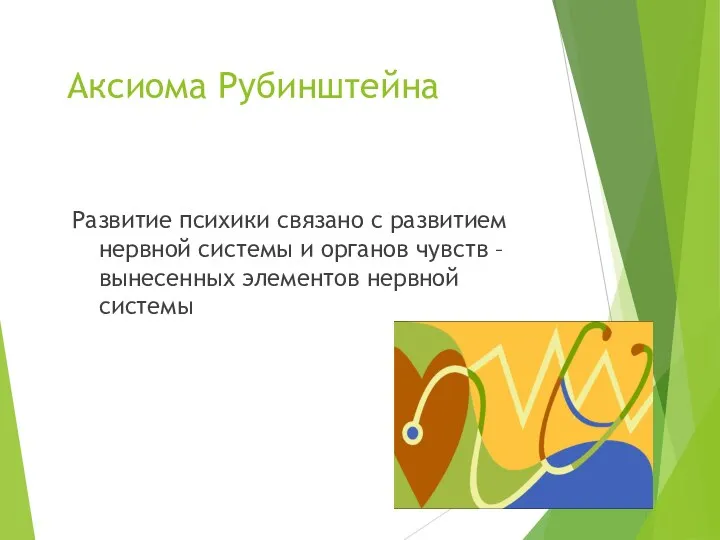 Аксиома Рубинштейна Развитие психики связано с развитием нервной системы и