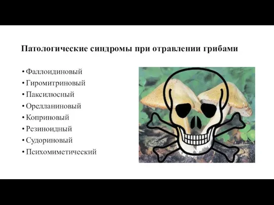 Патологические синдромы при отравлении грибами Фаллоидиновый Гиромитриновый Паксилюсный Орелланиновый Коприновый Резиноидный Судориновый Психомиметический