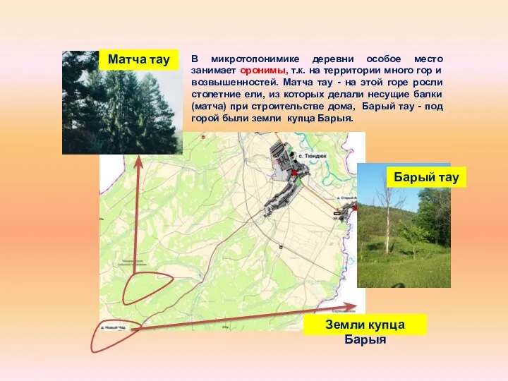 Матча тау Барый тау Земли купца Барыя В микротопонимике деревни