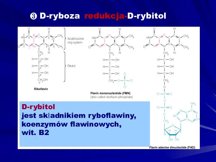 ❸ D-ryboza–redukcja-D-rybitol D-rybitol jest składnikiem ryboflawiny, koenzymów flawinowych, wit. B2