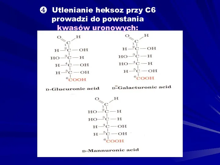 ❹ Utlenianie heksoz przy C6 prowadzi do powstania kwasów uronowych:
