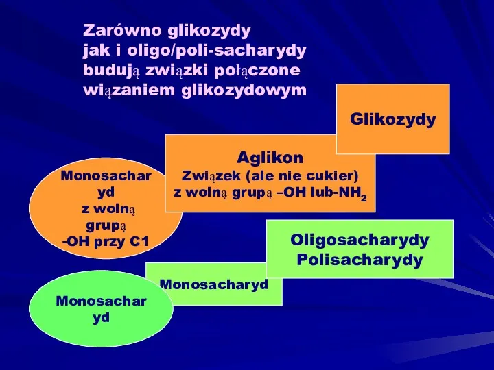 Monosacharyd z wolną grupą -OH przy C1 Aglikon Związek (ale nie cukier) z