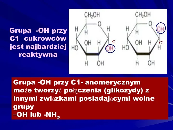 Grupa -OH przy C1 cukrowców jest najbardziej reaktywna C1 C1 Grupa -OH przy