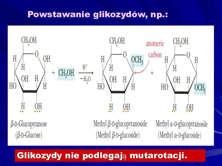 Powstawanie glikozydów, np.: Glikozydy nie podlegają mutarotacji.