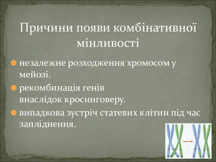 незалежне розходження хромосом у мейозі. рекомбинація генів внаслідок кросинговеру. випадкова