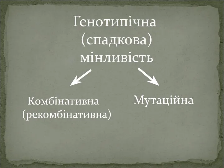 Генотипічна (спадкова) мінливість Комбінативна (рекомбінативна) Мутаційна