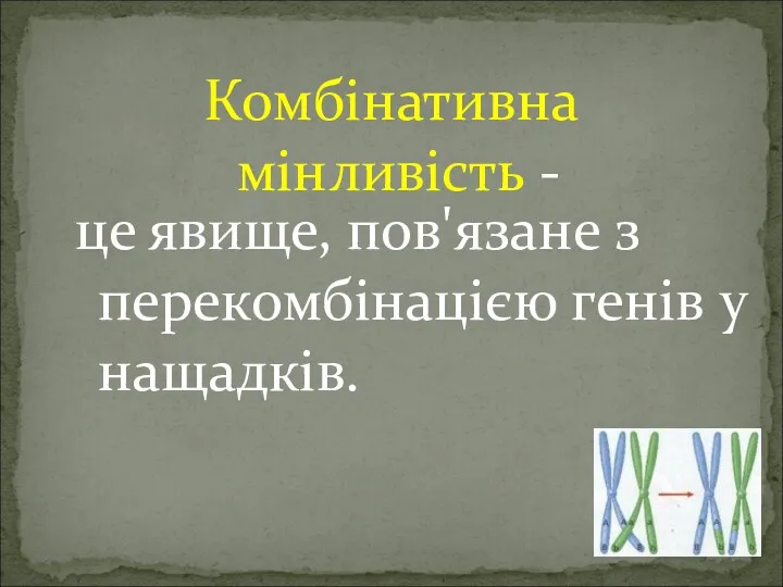 Комбінативна мінливість - це явище, пов'язане з перекомбінацією генів у нащадків.