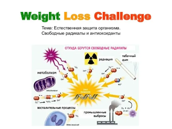 Weight Loss Challenge Тема: Естественная защита организма. Свободные радикалы и антиоксиданты