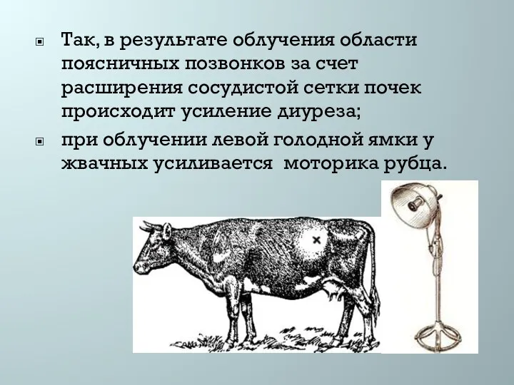 Так, в результате облучения области поясничных позвонков за счет расширения