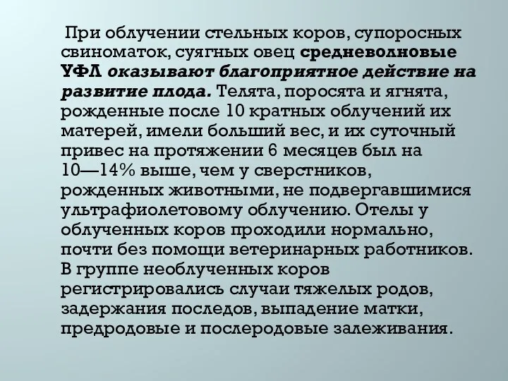 При облучении стельных коров, супоросных свиноматок, суягных овец средневолновые УФЛ