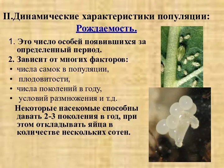 II.Динамические характеристики популяции: Рождаемость. 1. Это число особей появившихся за