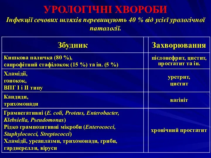 УРОЛОГІЧНІ ХВОРОБИ Інфекції сечових шляхів перевищують 40 % від усієї урологічної патології.