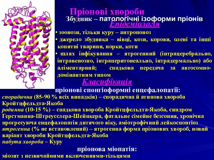 Пріонові хвороби Класифікація пріонові спонгіоформні енцефалопатії: спорадична (85-90 % всіх випадків) – спорадична