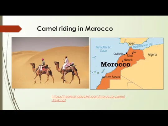 Camel riding in Marocco https://theblessingbucket.com/morocco-camel-trekking/