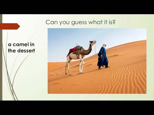 Can you guess what it is? a camel in the dessert