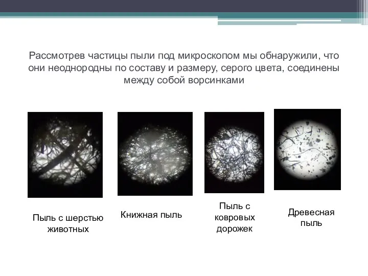 Рассмотрев частицы пыли под микроскопом мы обнаружили, что они неоднородны