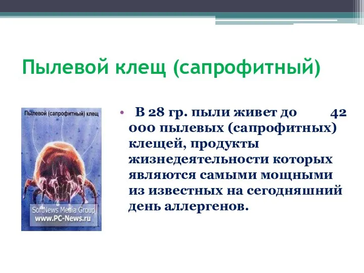 Пылевой клещ (сапрофитный) В 28 гр. пыли живет до 42