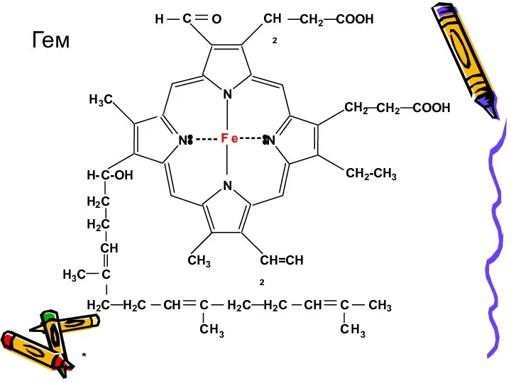 * Гем F e N N N N H C C H2 C