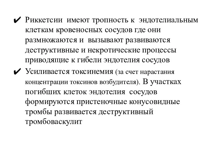 Риккетсии имеют тропность к эндотелиальным клеткам кровеносных сосудов где они