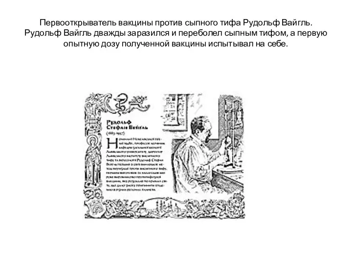 Первооткрыватель вакцины против сыпного тифа Рудольф Вайгль. Рудольф Вайгль дважды