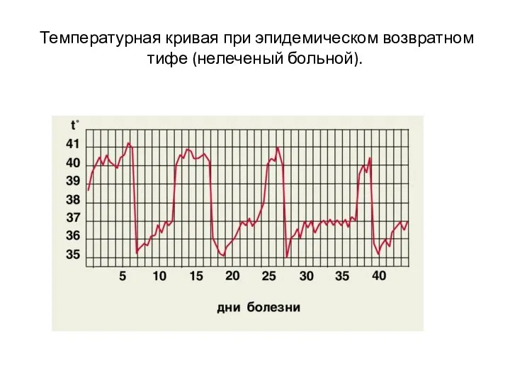 Температурная кривая при эпидемическом возвратном тифе (нелеченый больной).