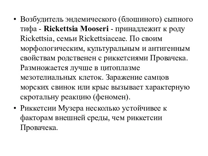 Возбудитель эндемического (блошиного) сыпного тифа - Rickettsia Mooseri - принадлежит