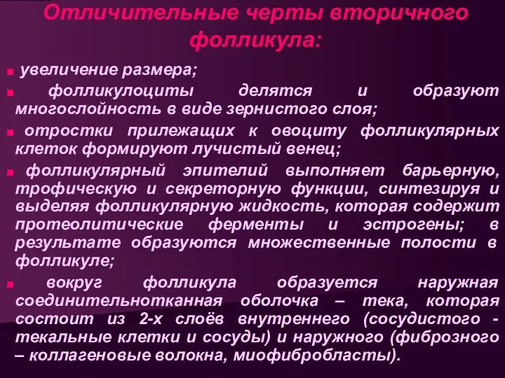 Отличительные черты вторичного фолликула: увеличение размера; фолликулоциты делятся и образуют