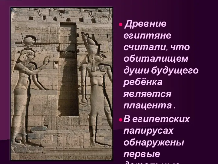 Древние египтяне считали, что обиталищем души будущего ребёнка является плацента